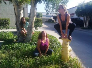 Owling Around