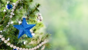 xmas tree ornament xmas tree ornament