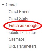 screenshot of Fetch as Google Webmaster Tool