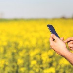 mobile phone