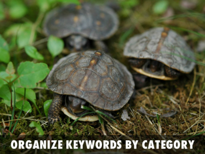 Organize keywords by category