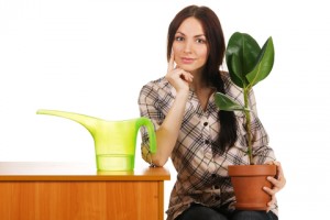 SEO is like taking care of a plant. Grow, baby, grow! woman with plant and watering can