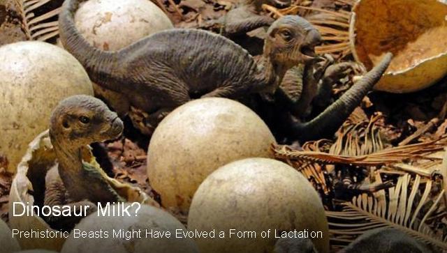 dinosaur milk