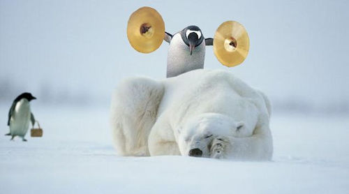 Penguin