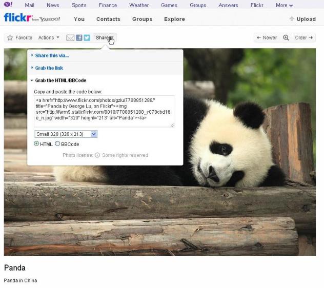 panda on flickr