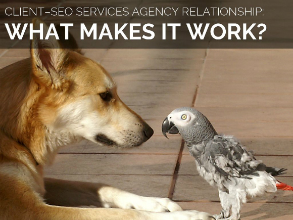 https://www.flickr.com/photos/ferranp/317125624/in/photolist-u2mpb-o5WLv Dog and parrot like client-agency relationship