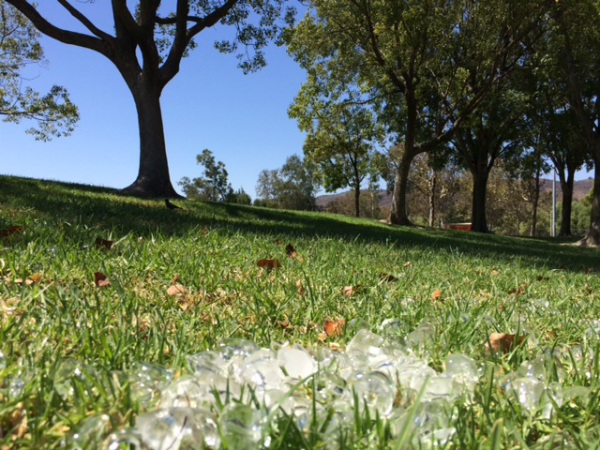 ice on grass