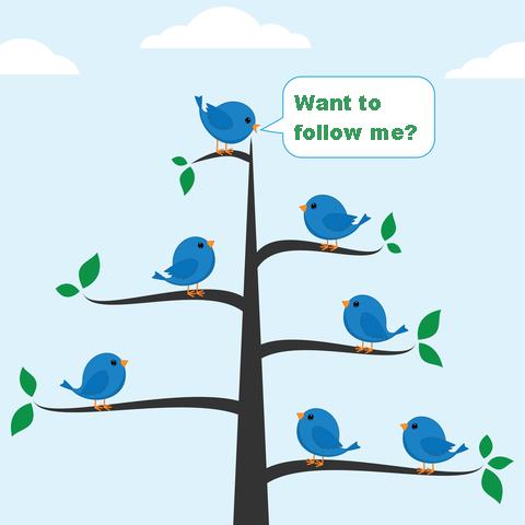 Graphic of Twitter birds on branches; the bird at the top asks the birds "Want to follow me?"