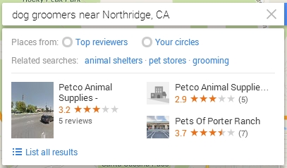 Google Map search example