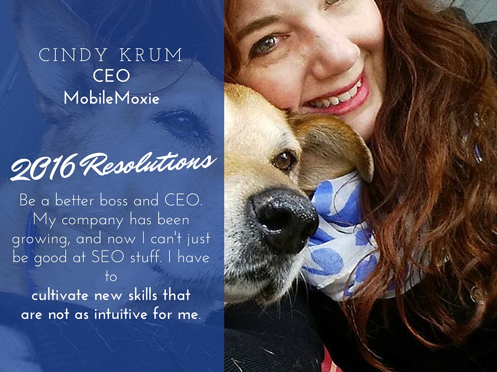 Cindy Krum 2016 resolutions