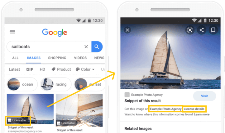 License information displayed in Google Images results.