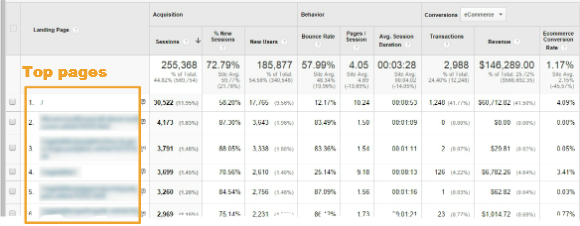 Traffic by landing page