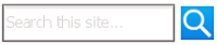 site search box