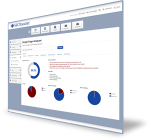 single page analyzer content score