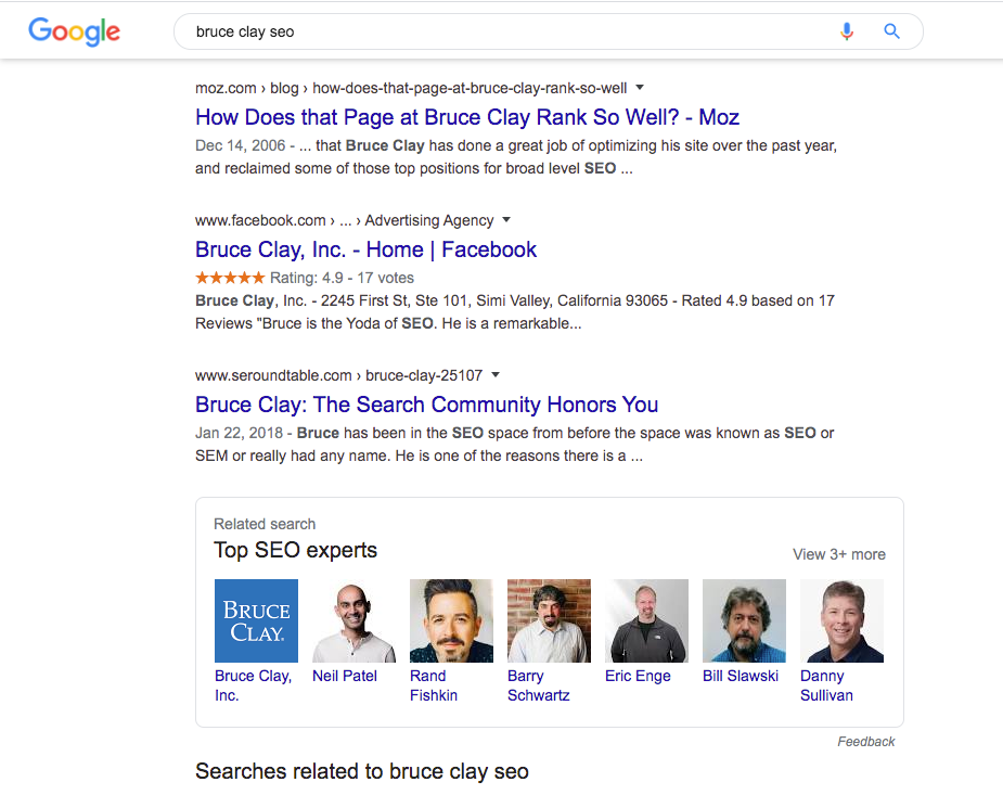 Google search results for "bruce clay seo".