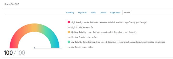 Bruce Clay SEO mobile performance tab.