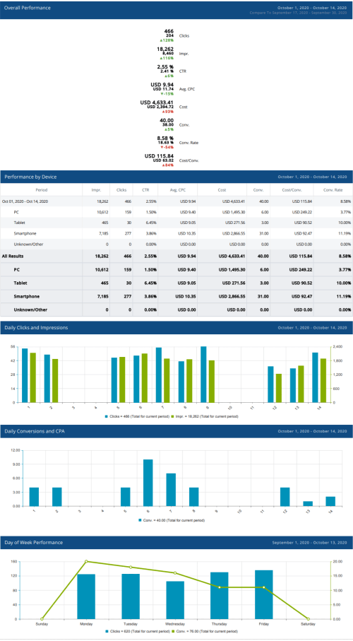 Excerpts from a PPC report for a Bruce Clay Inc. agency client.