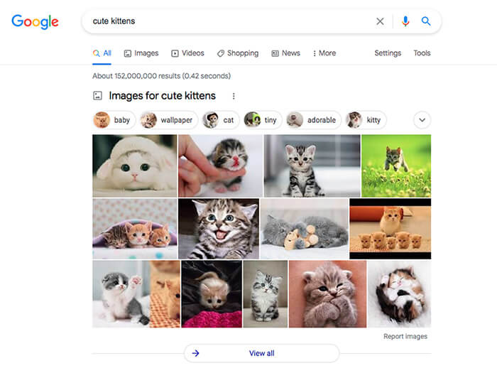 Google SERP displaying images for cute kittens.