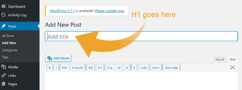 WordPress post editor where you enter H1 tag.