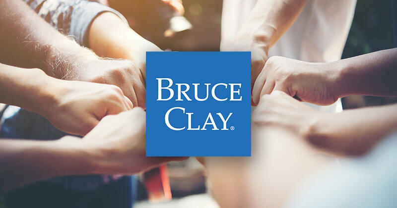 Bruce Clay employees value teamwork.