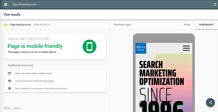 Screenshot of Google’s Mobile-Friendly Test results for BruceClay.com.