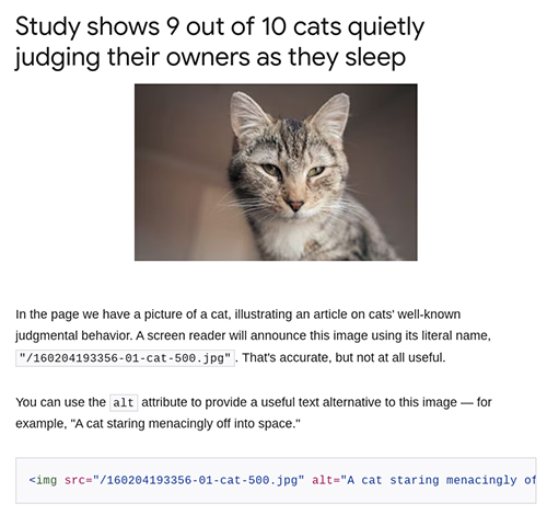 Text Alternatives for Images, Web.Dev