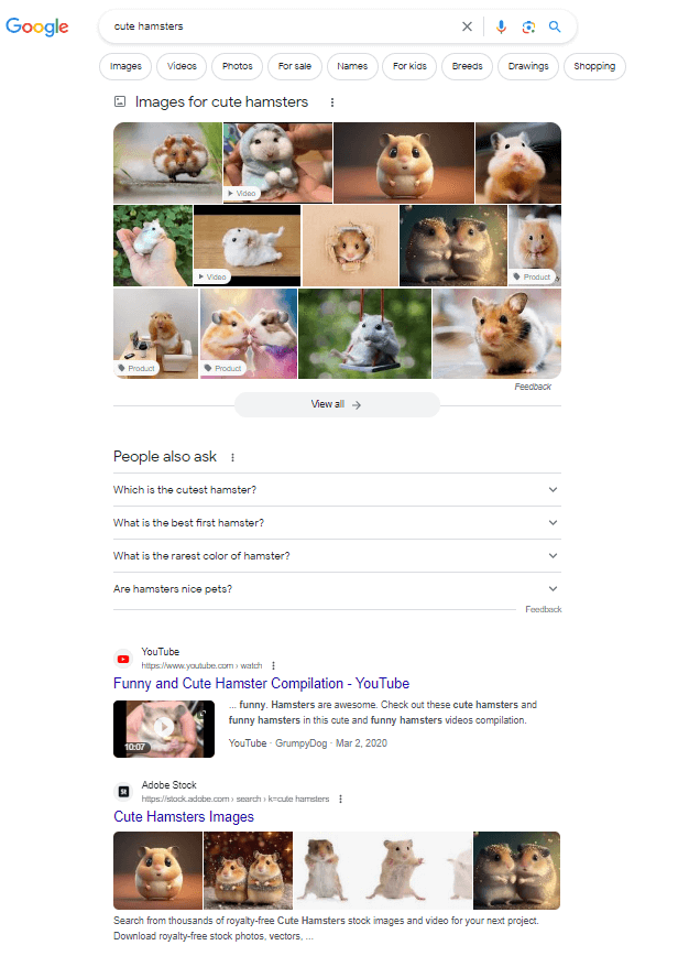 Google search results for the query “cute hamsters.”