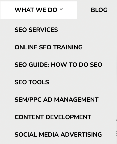 Navigation menu on BruceClay.com website showing SEO topic cluster.