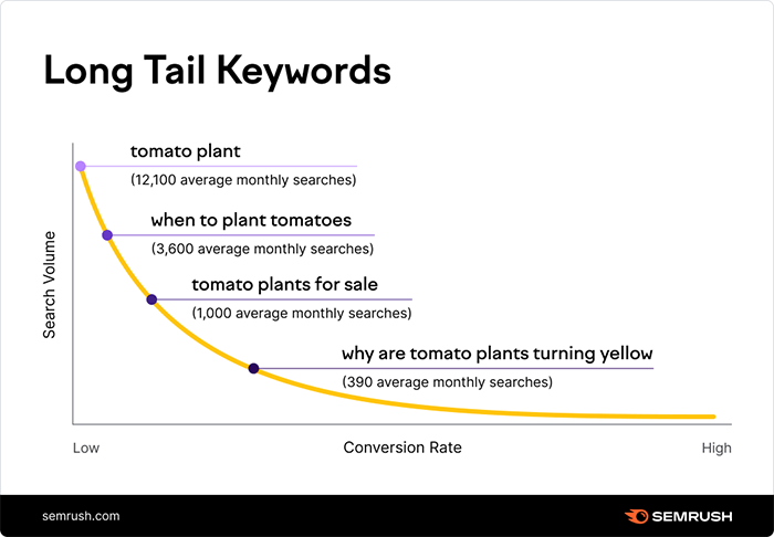 SEMRush chart showing search volume and conversion rate for the long-tail keyword "tomato plant."