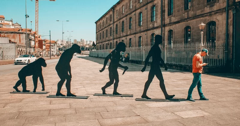 Primate statues evolving into a human standing looking at phone.