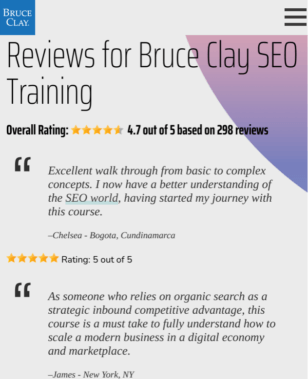 bruce clay seo training reviews.