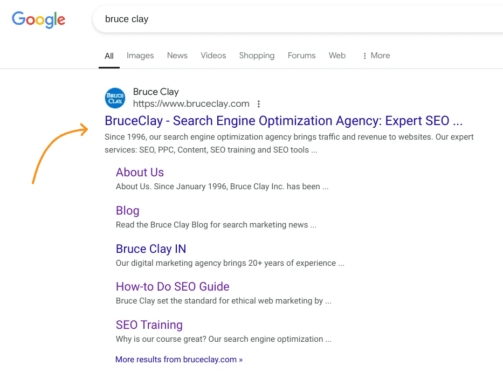 Search engine results listing for BruceClay.com homepage.